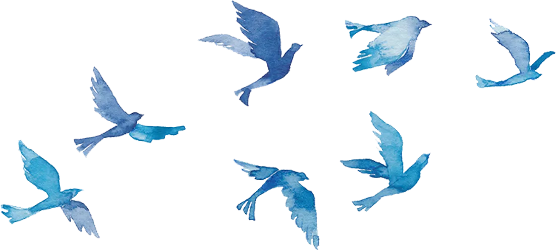 青い鳥の群れ